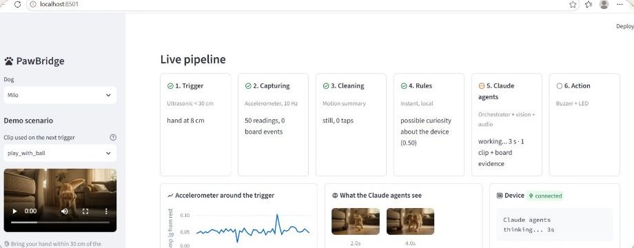 PawBridge live pipeline dashboard during a demo run